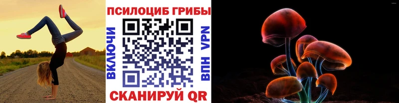 МЕГА ТОР Нахабино Галлюциногенные грибы Magic Shrooms